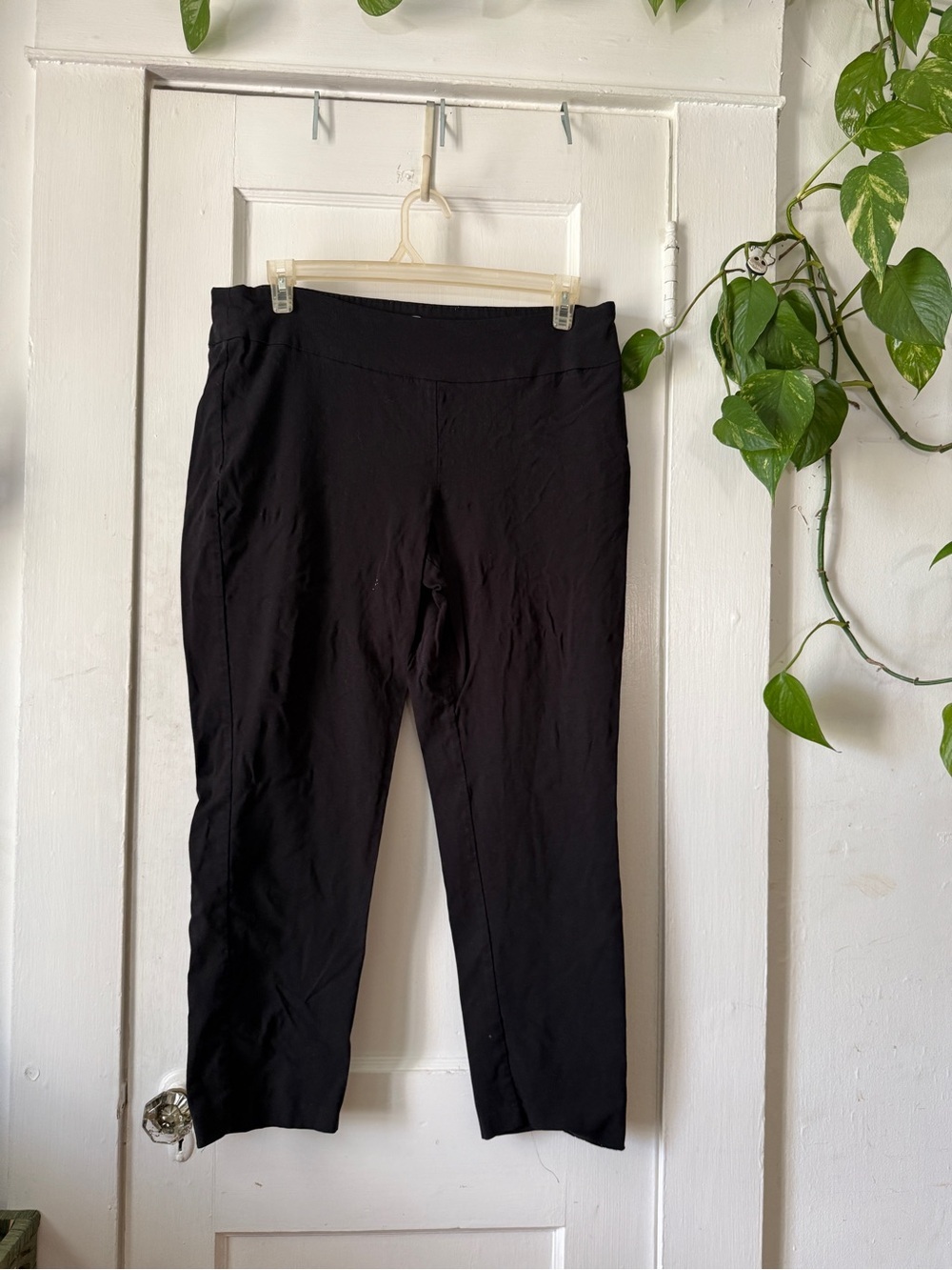 Larry Levine Black Cropped Pull-On Stretch Pants XL